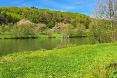 d328d927-1fb6-4ef0-964d-d03c49c44c10