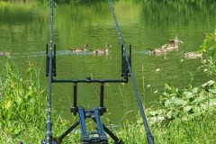 Heckfelder-See-im-Juli_3