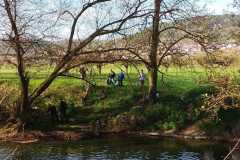 Tauber_frei_2025-16