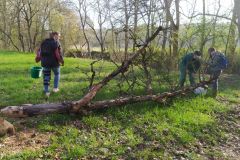 Tauber_frei_2025-2