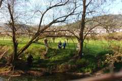 Tauber_frei_2025-20