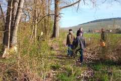 Tauber_frei_2025-3