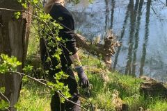 Tauber_frei_2025-30