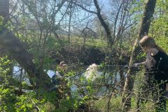 Tauber_frei_2025-35