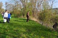 Tauber_frei_2025-40