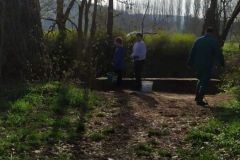 Tauber_frei_2025-42