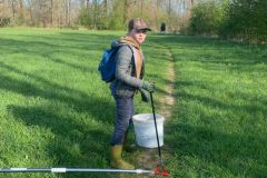 Tauber_frei_2025-7